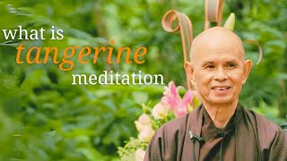 Tangerine Meditation | Teaching by Thich Nhat Hanh