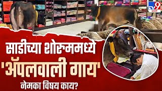 Chhattisgarh Raipur Cow On Showroom | शोरूममध्ये 7 वर्षापासून येतेय गाय, नेमका विषय काय?