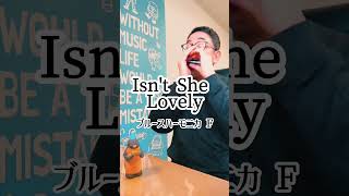 『イズント・シー・ラブリー（Isn't She Lovely）』ブルースハーモニカ（F：2nd）※ちょっとロングバージョンはInstagramまたはTikTokで(^)3^)♫　＃スティービーワンダー