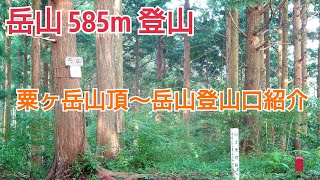 【静岡県登山】岳山（585m）登山！ 粟ヶ岳〜岳山登山口〜岳山山頂まで紹介します！