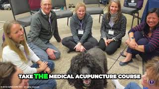 Dr. Tara Edwards: Revolutionizing Veterinary Care with Acupuncture,  Rehabilitation, and Client Ed