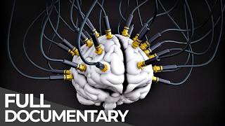 Inside the Mind of a Con Artist: The Science of Mega Scams | Full Series | Free Documentary