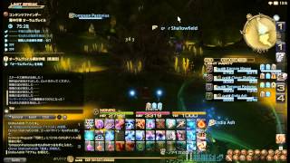 FF14　黒Lv47ID　オーラムヴェイル