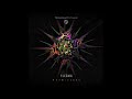 Flegma - PsyBizarre
