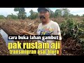 BEGINI CARA PAK RUSTAM MENGOLAH LAHAN GAMBUT DITRANSMIGRASI