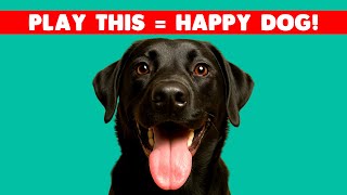 10 Sounds That Make All Dogs Instantly Happy 🐶 (Try These!)