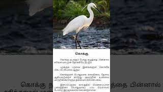 Birds facts in Tamil | Crane | Tamil new facts