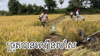 ច្រូតស្រូវជាមួយម៉ាស៊ីនកាត់ស្មៅ យ៉ាងងាយស្រួល មានលក់នៅទីនេះ