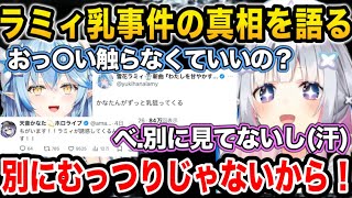 ラミィ乳事件の真相について説明するが、聞けば聞きほどやっぱり思春期男子な天音かなた【ホロライブ/切り抜き/天音かなた/雪花ラミィ】