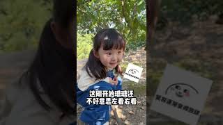 139 树上直啃，沉浸式吃橘子。#萌娃 #小苏瑭 #人类幼崽成长记