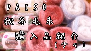 [かぎ針編み]DAISO 秋冬毛糸の購入品紹介