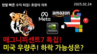 매그니피센트7 특집! TSLA NVDA GOOG AAPL MSFT META AMZN 미국 우량주 하락가능성은? - 호랑이차트