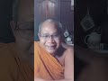 ชุดที่ 574 สนทนาธรรมปฐมโพธิกาล