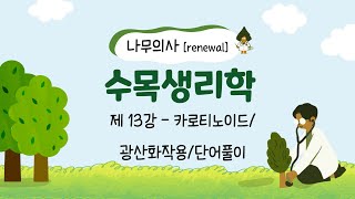 [Renewal 나무의사] 수목생리학 - 제13강 카로티노이드 / 광산화작용 / 단어풀이