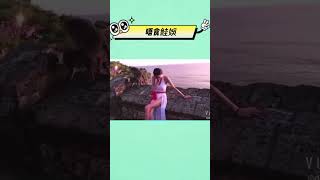 盤點美女尷尬瞬間#shorts