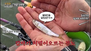 타모이 고초골낚시터 겨울시즌 #브이로그 EP.02 #편대낚시 의 끈적한 #찌올림