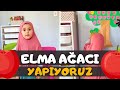 Elma Ağacı Yapıyoruz | Bizim Dünyamız