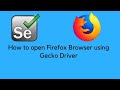 How to launch Firefox Browser using Selenium WebDriver