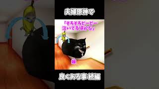 【原神】夫婦原神あるある続編 #猫ミーム  #猫meme