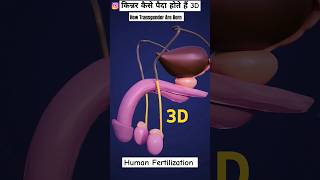 How Eunuchs Are Born/Human Fertilization #science #thirdgender #biology #amazingfact #shorts