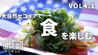 【キャンプ】アメリカの大自然の中、日本食を楽しむ。【Vol 4.1】