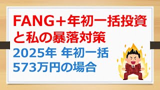 FANG+年初一括投資と私の暴落対策【有村ポウの資産運用】250103