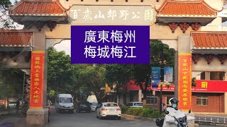 廣東梅州：梅城市區 老樹成蔭 市區馬路 綠色隧道，台北首善 無法想像，客家前輩 真是優秀 無價之寶 金錢難買 永傳後世，拍攝9/3 16：52梅州公交72路 彬芳大道中-南北幹道...#梅州 #台北