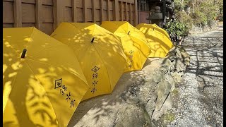 春を待つしぐれの晴れま傘の花　2024錦水亭