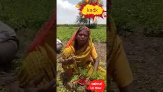 Comedy aji Bai  18+ dekhe  haste haste ro padoge