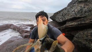 台风天阿阳冒着大浪无人岛赶海，成群海货没人抓，简直是座发财岛