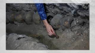 Aztec tower of human skulls uncovered in Mexico City