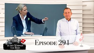 Hexenjagd auf Alice Weidel