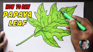 How to draw easy Papaya leaf drawing step by step easy - simple drawing