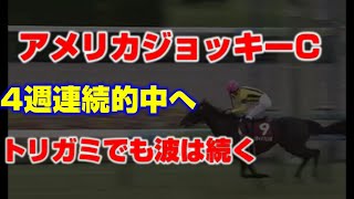 アメリカジョッキークラブカップの競馬予想.過去の傾向と出走馬分析。波乱度中。軸馬候補はこの馬。