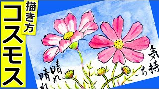 コスモスの花の描き方4│ガーデニングの絵手紙スケッチ│9月・10月・11月・秋の花の描き方【秋桜】