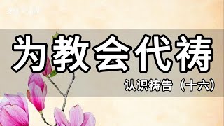 （16/16）为教会祷告｜《认识祷告》系列｜基督徒祷告操练系列（九）