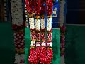 red rose petals garland marriage reception#shorts