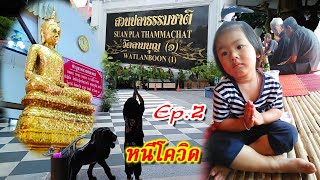 ปีโป้ หนีโควิดมาเที่ยวไหว้พระทำบุญให้อาหารปลานกที่วัดลานบุญ Ep. 2