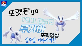 【포켓몬고】필드리서치 7일차대발견 '루기아' 포획!!