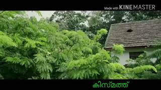 കിസ്മത്ത് പ്രണയ മഴKKV