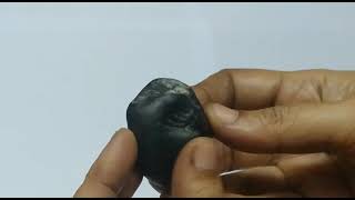 S9067-101- Aadhyathmik 100% Original Natural Sacred Lakshmi Kubera Shaligram