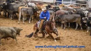 2016 West Texas Futurity NCHA Mercuria Finals Highlights