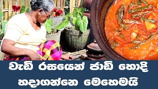 ජාඩි හොද්දක් හදාගමු jadi curry in sinhala