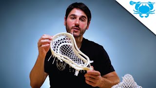 Tutorial: Greg's DNA
