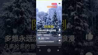 我让Ai为多伦多这场大雪写了一首歌，他唱得浪漫，我感受心烦20250219