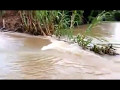 Flooding in Mauritius Flacq