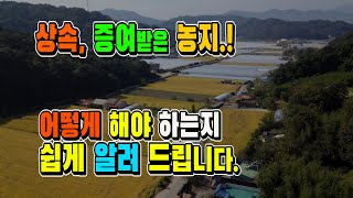 👌상속, 증여받은 농지 어떻게 해야 하는지 쉽게 알려드립니다. 벌금 피하는 실전 노하우!👌