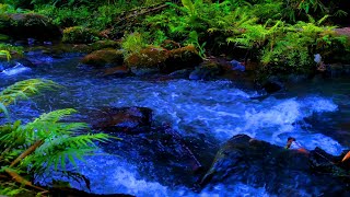 Nature has long been recognized as a powerful source of healing | Relaxing