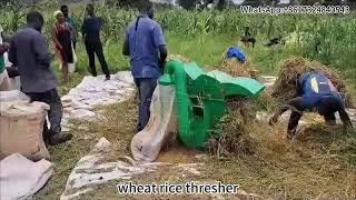 Wheat \u0026 Rice Thresher in Action – Efficient Grain Processing for Modern Farming!