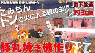 マインクラフト ┃残酷性MAX豚の丸焼き機！豚を焼く前にこみちんが焼かれる！？地下生活173日目/ぽこなかくら#423